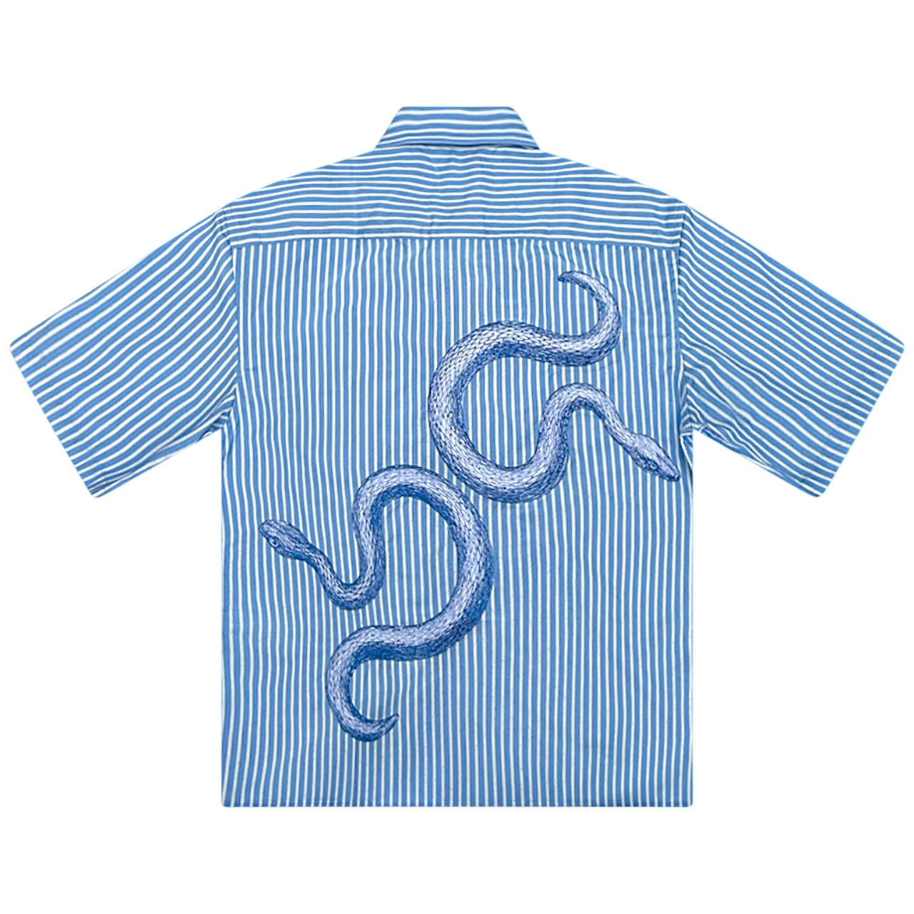 Sea Snake